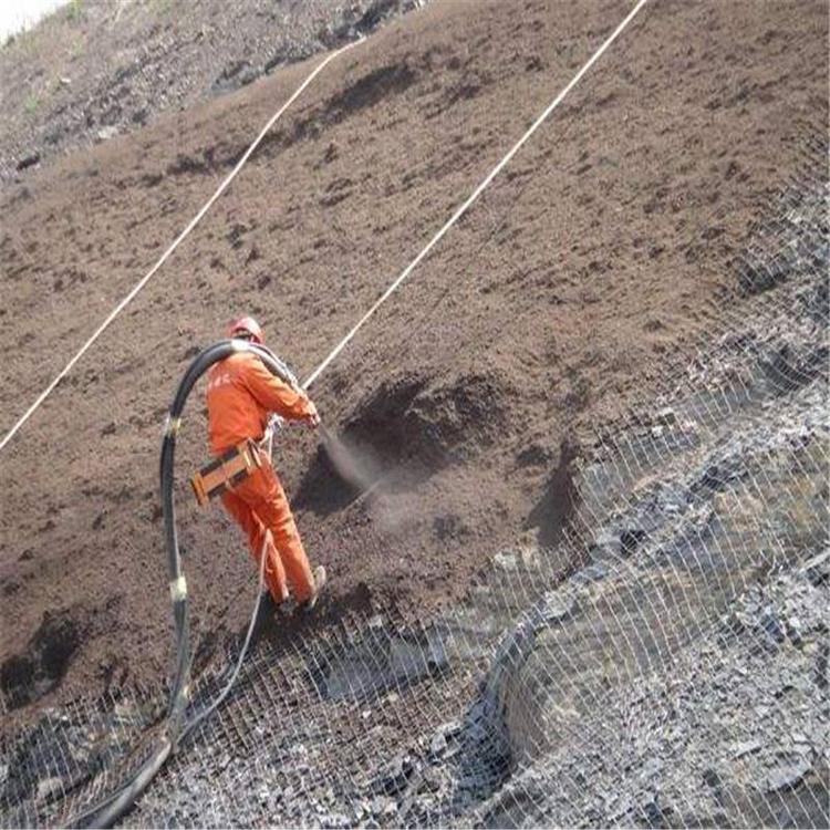 湖北客土喷播钢丝网 边坡外挂钢丝网