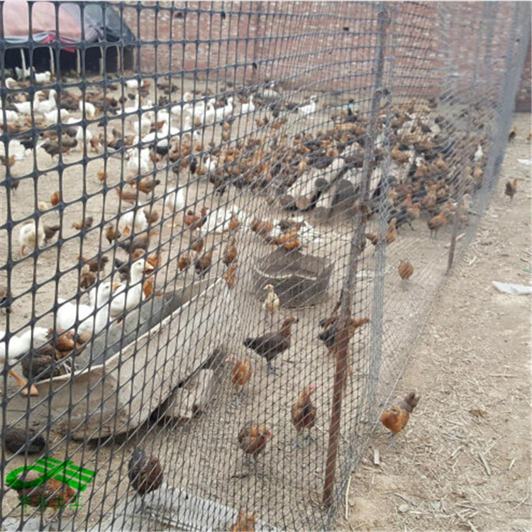 湖北单向塑料土工格栅