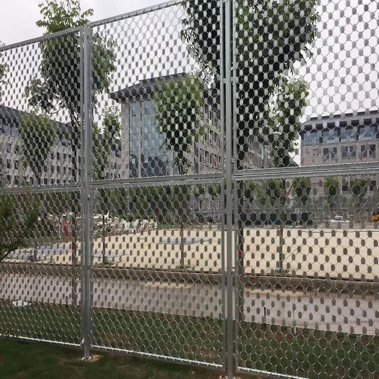 上海监狱梅花刺片隔离网